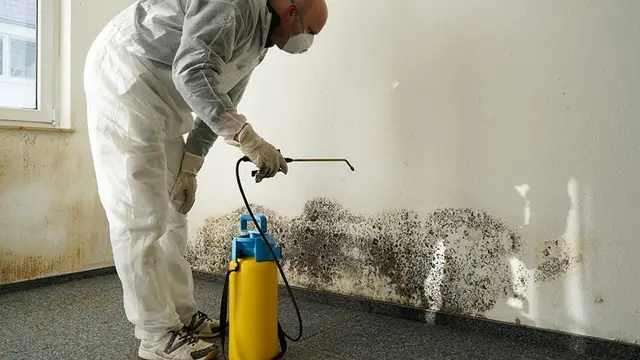 Crisis Restoration crew